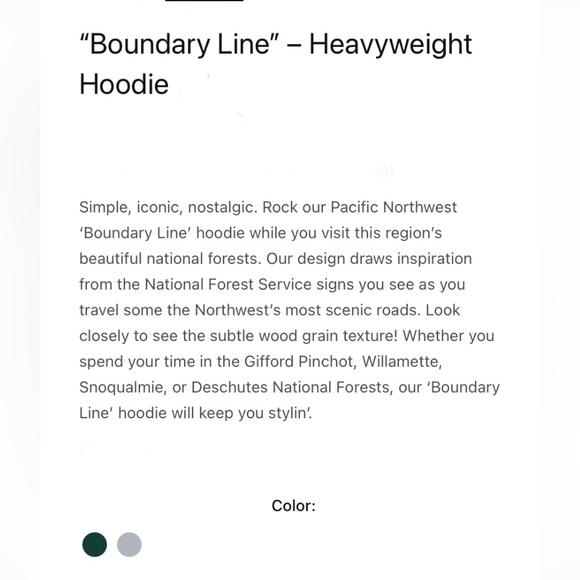 NWT! PACIFIC NORTHWEST Heavyweight Oversized Boundary Line Hoodie - XS Unisex - Picture 5 of 11